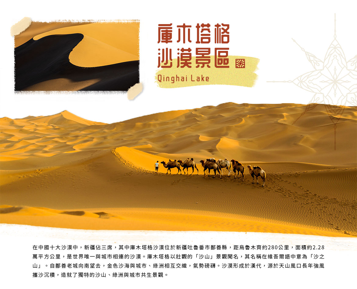 00007509.JPG (1170×947)