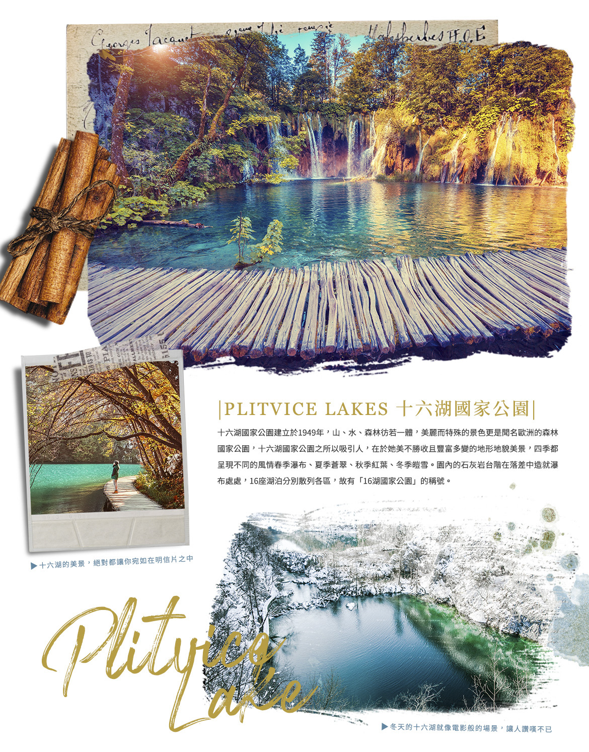 00003351.JPG (1170×1493)