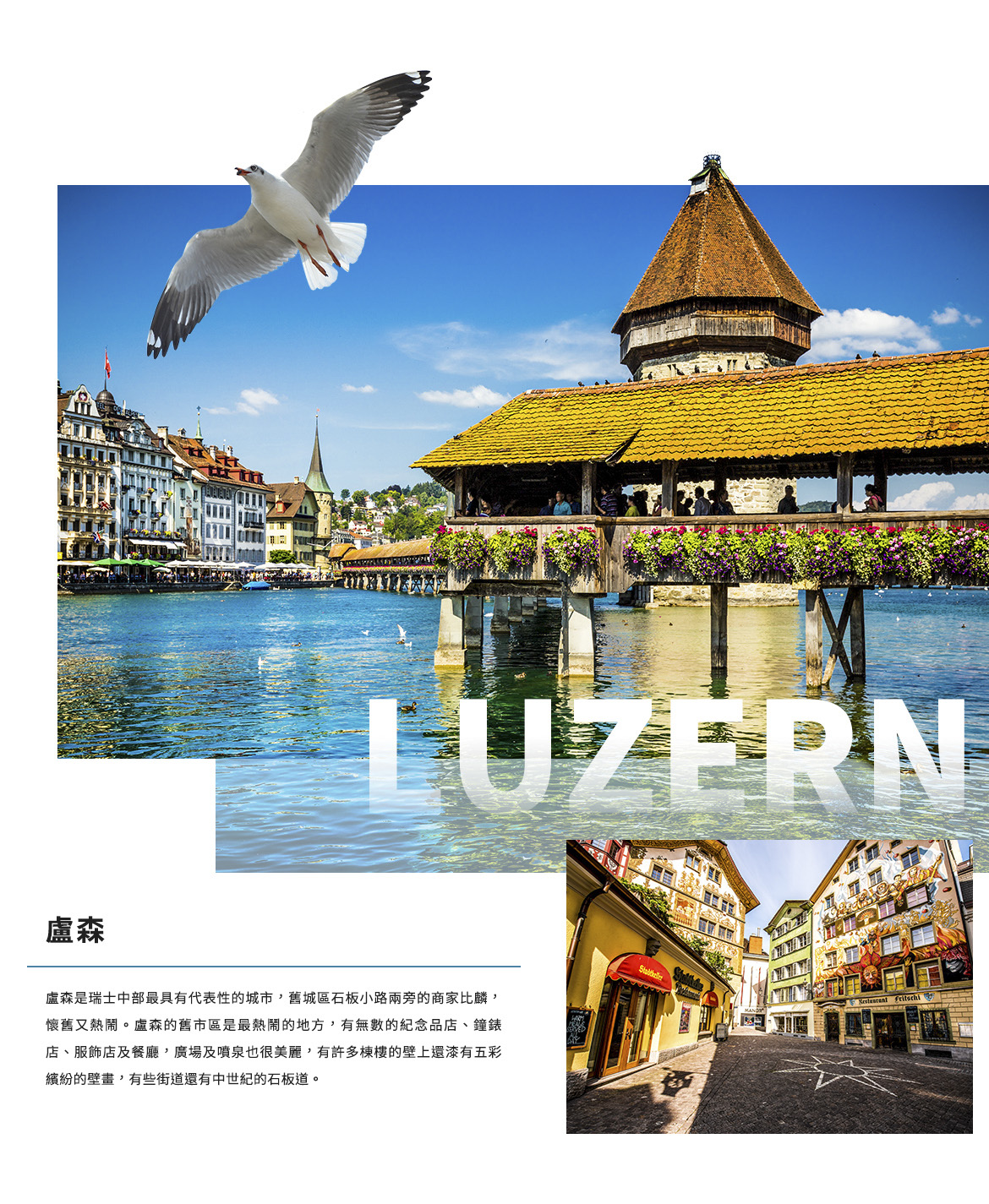 00003356.JPG (1170×1425)