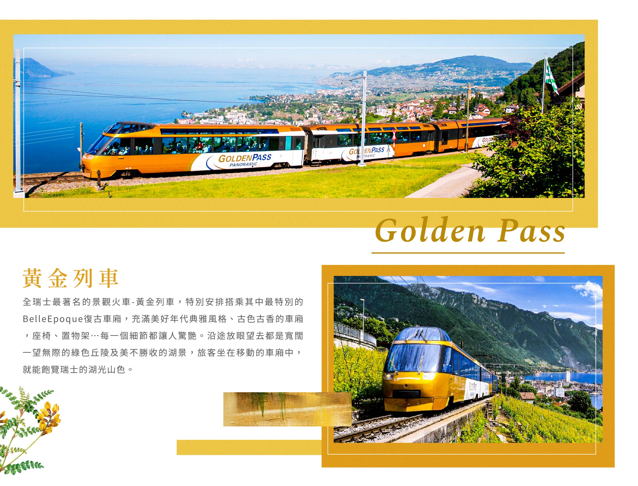 00005768.JPG (2437×1856)