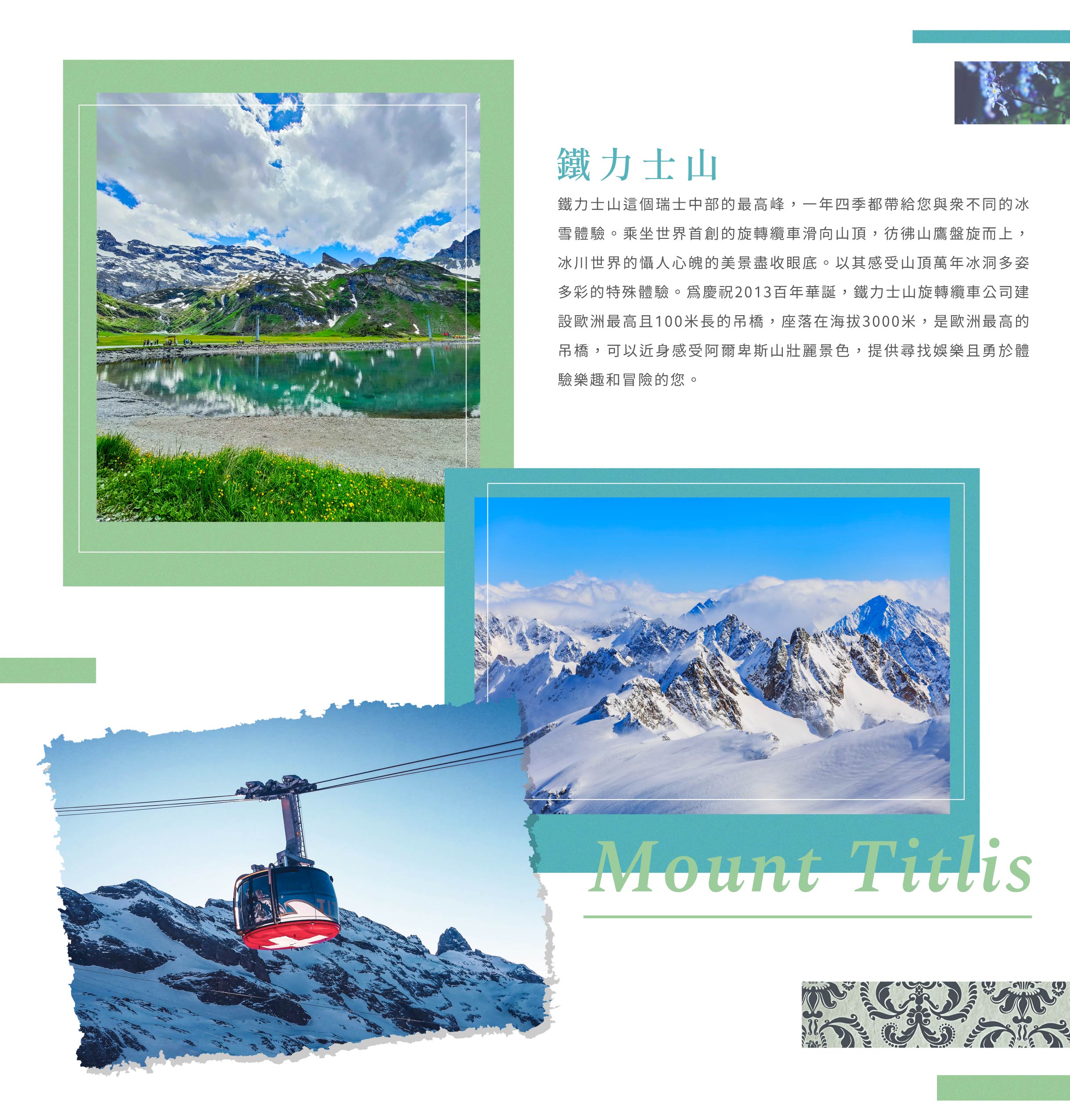 00005772.JPG (2437×2552)