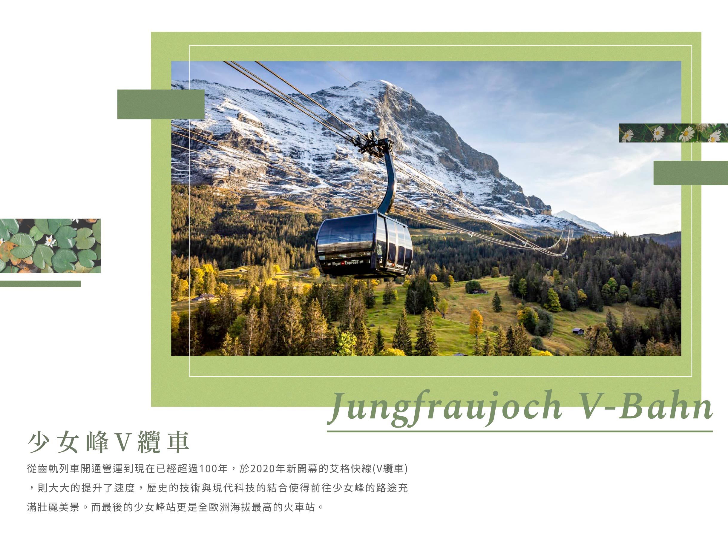 00005817.JPG (2437×1795)