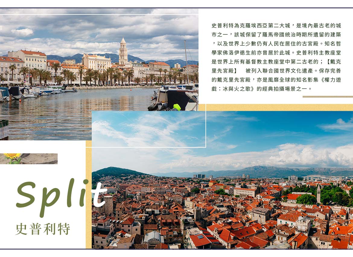 00004565.JPG (1170×853)