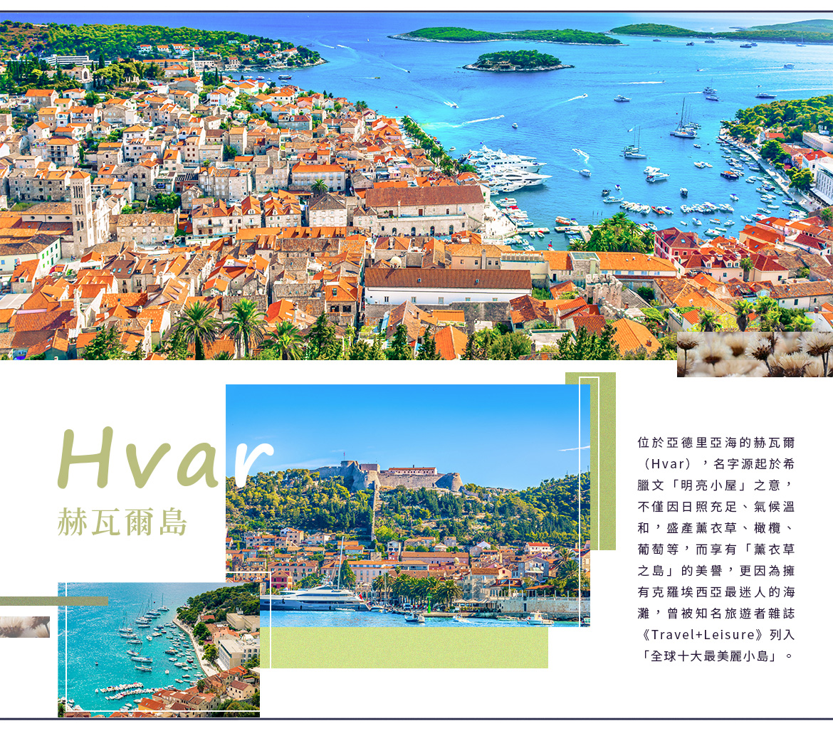 00006161.JPG (1170×1027)