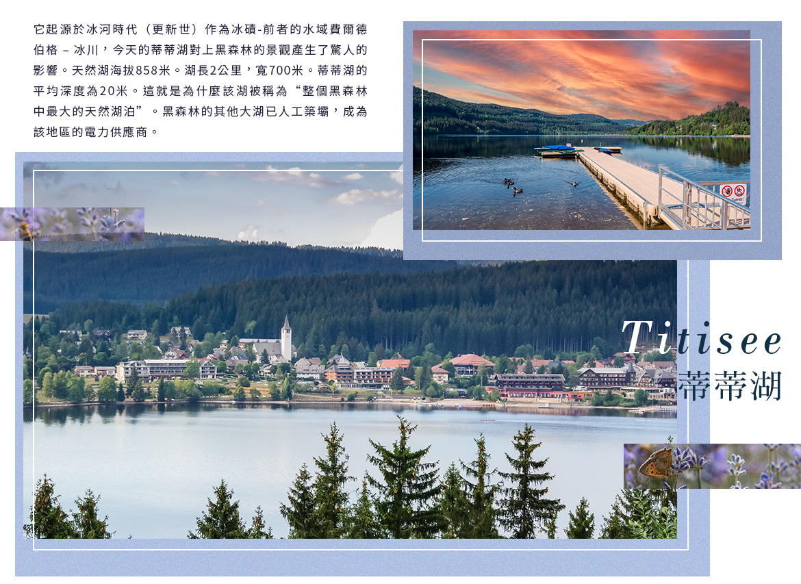 00004779.JPG (1170×853)