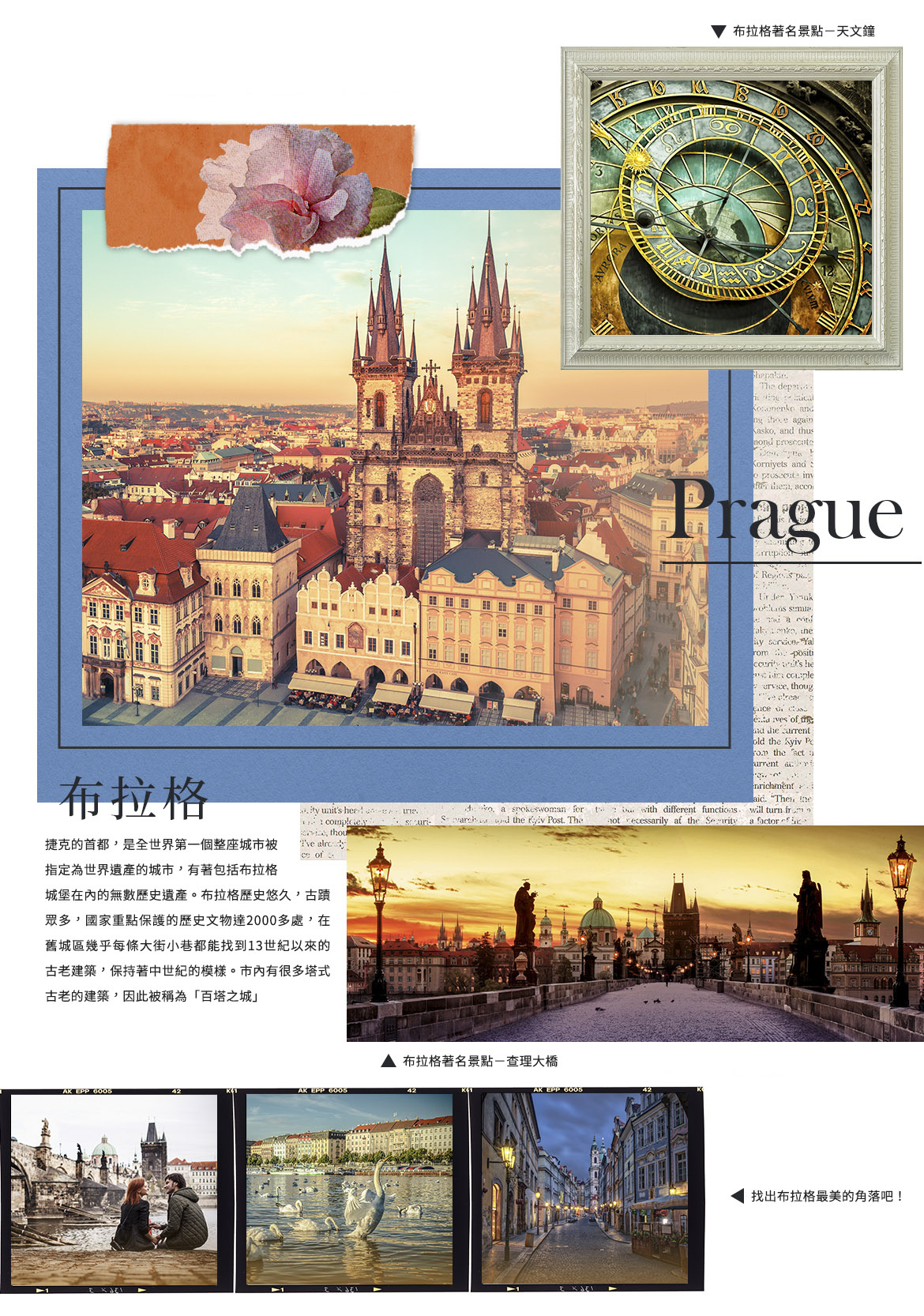 00004242.JPG (1170×1666)