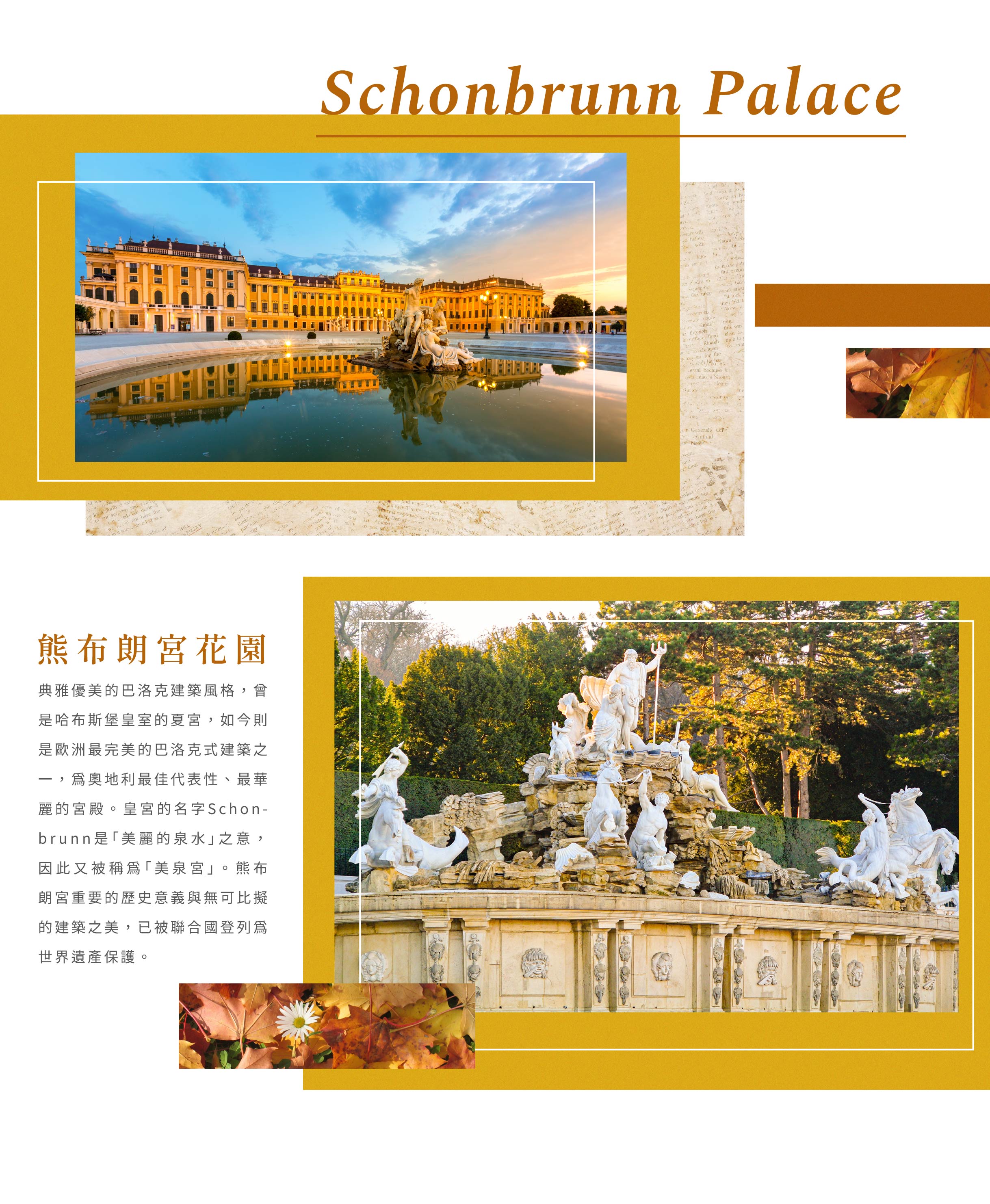 00005856.JPG (2437×2964)