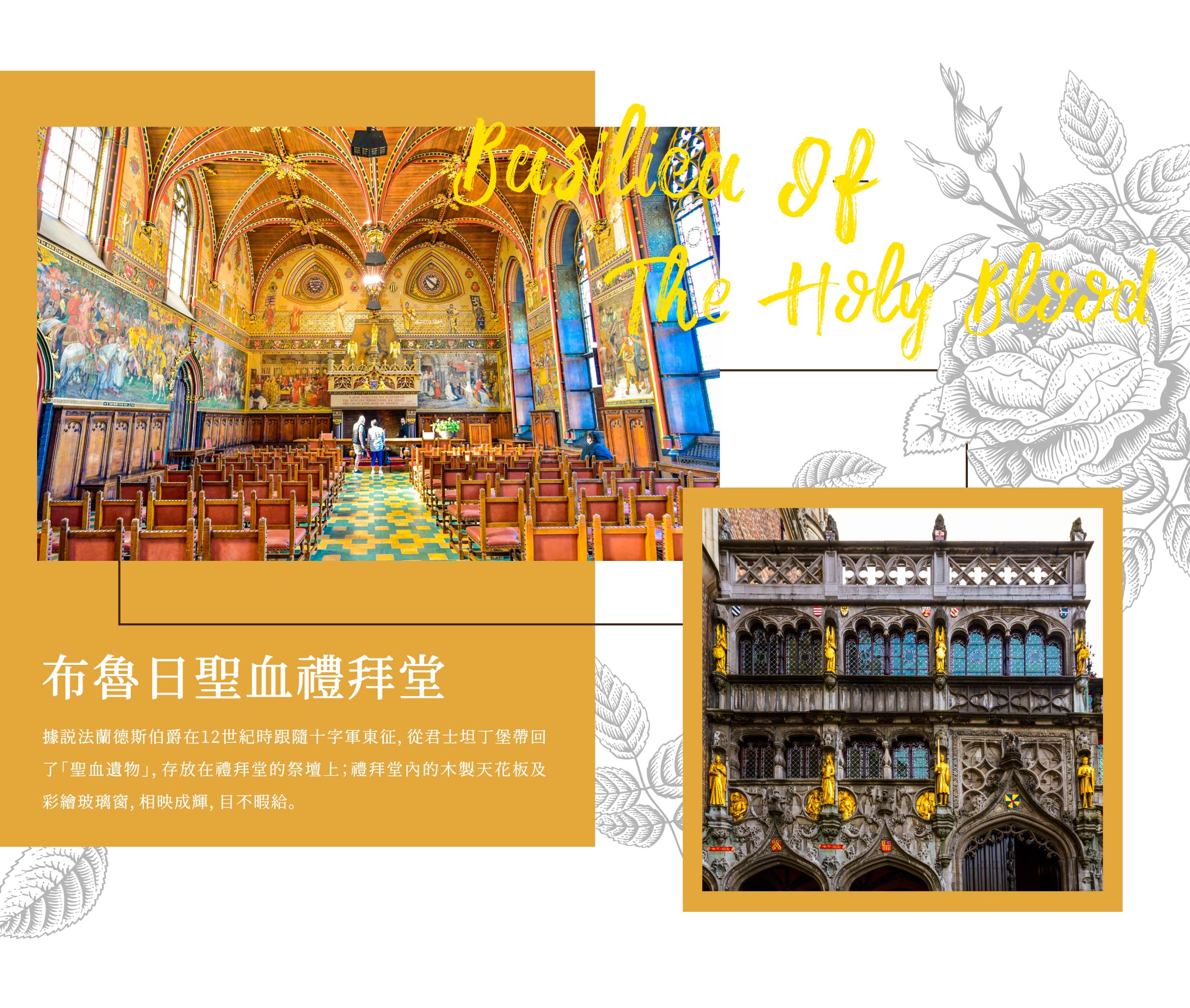 00006035.JPG (2437×2065)