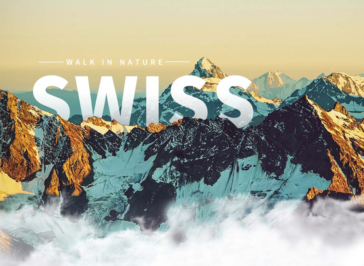 00004831.JPG (1170×853)