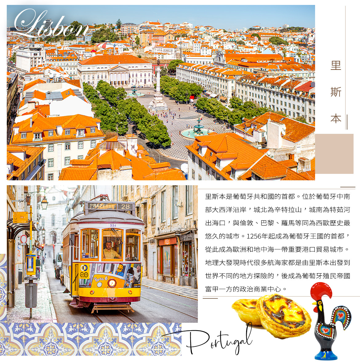 00004904.JPG (1170×1183)