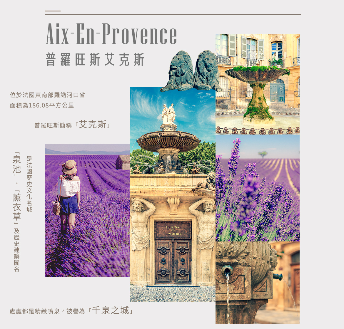 00004944.JPG (1170×1120)